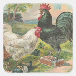 Chicken and Rooster Square Sticker