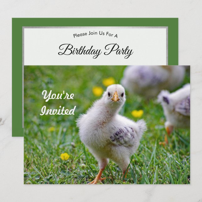 Chicken Baby Chick Photo Birthday Invitation (Front/Back)