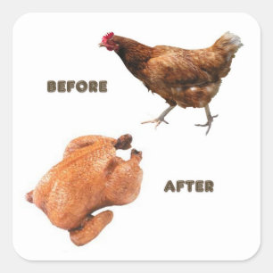 Chicken Before and After Square Sticker