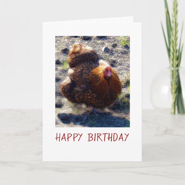 Chicken Birthday card (Front)