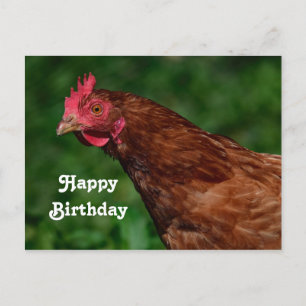 Chicken Birthday Postcard