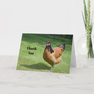 Chicken Black and Gold Vorwerk Photo Thank You Card