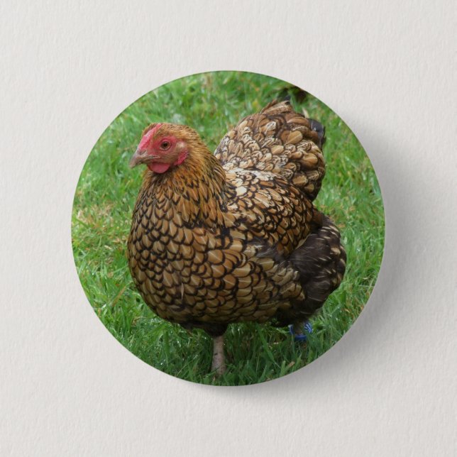 Chicken Button (Front)