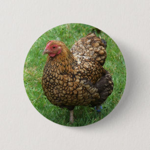 Chicken Button