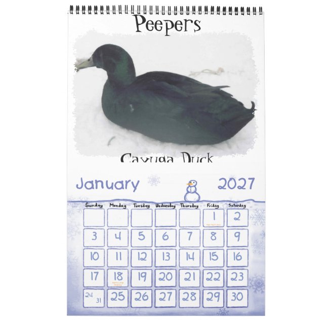 Chicken Calendar (Jan 2027)