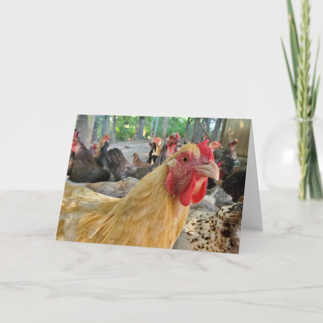 Chicken Card (Front)