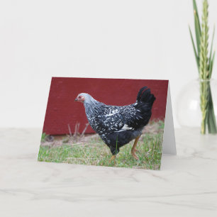 Chicken! Card