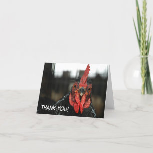 CHICKEN CARD: Thank you