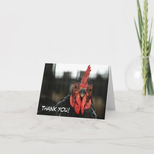 CHICKEN CARD: Thank you Card (Front)