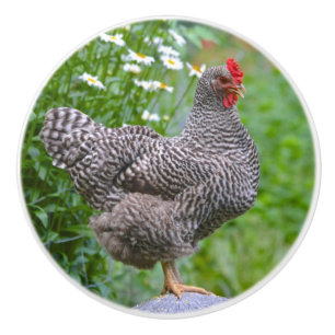 Chicken Ceramic Knob