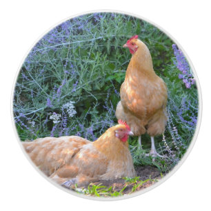 Chicken Ceramic Knob