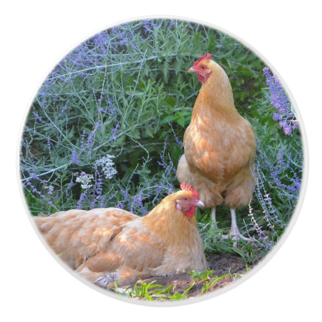 Chicken Ceramic Knob (Front)