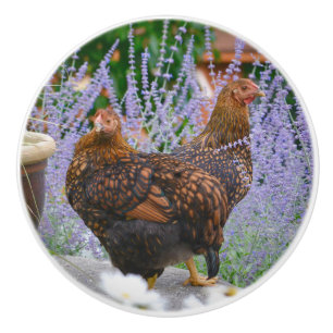 Chicken Ceramic Knob