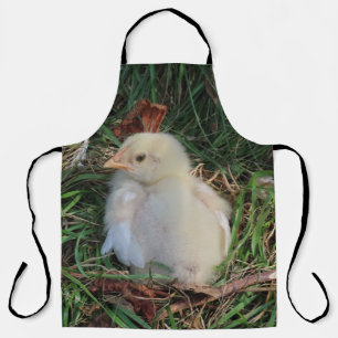 chicken, chick, farm, animal, bird, poultry, hen,, apron