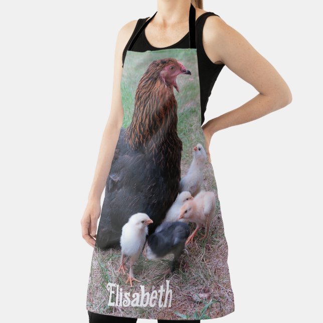 chicken, chicks, chickens, chick, animal, bird,  apron (Insitu)