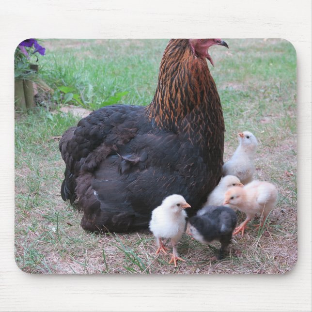 chicken, chicks, chickens, chick, animal, bird, mouse mat (Front)