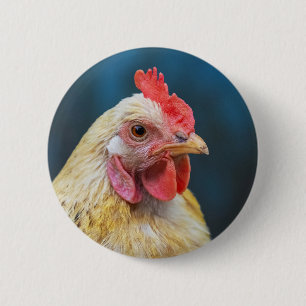 Chicken Close-Up 6 Cm Round Badge