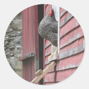 Chicken Coop Classic Round Sticker