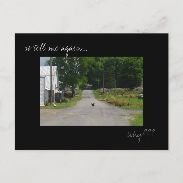 'Chicken Crossing Road' photo postcard (Front)