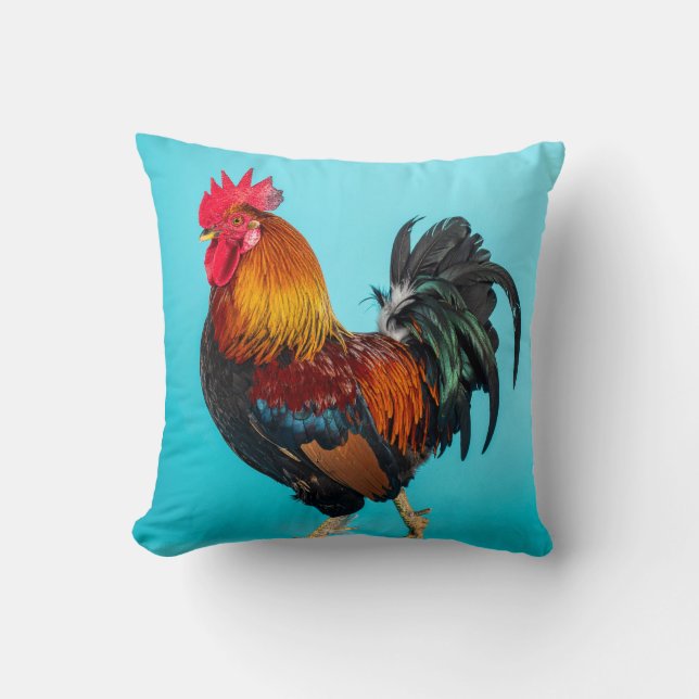chicken cushion (Front)