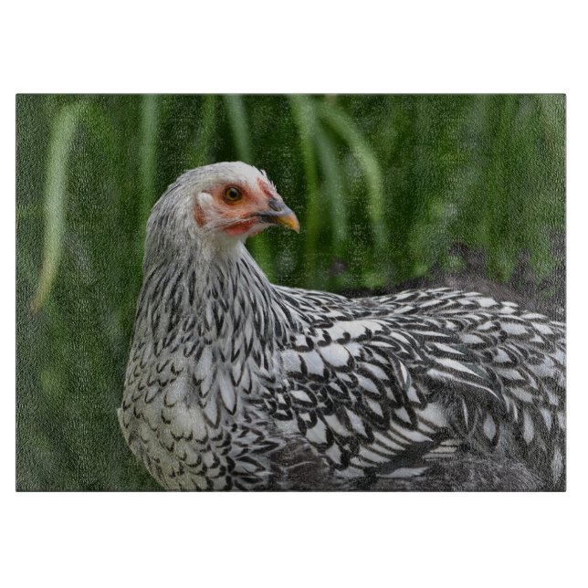 Chicken Cutting Board (Front)