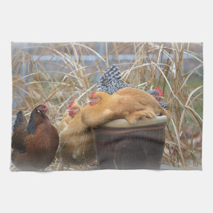 Chicken Dish Towel
