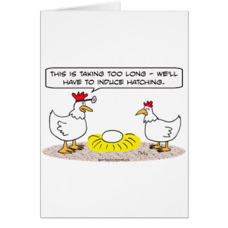 chicken doctor induce hatching egg