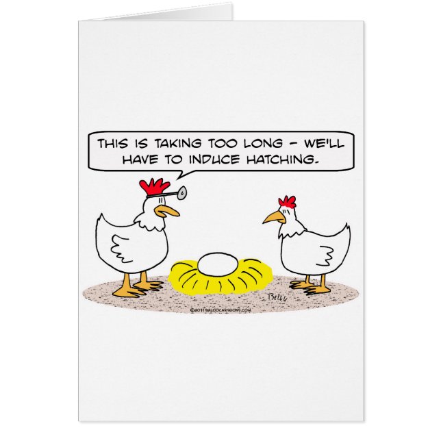 chicken doctor induce hatching egg (Front)