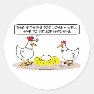 chicken doctor induce hatching egg classic round sticker