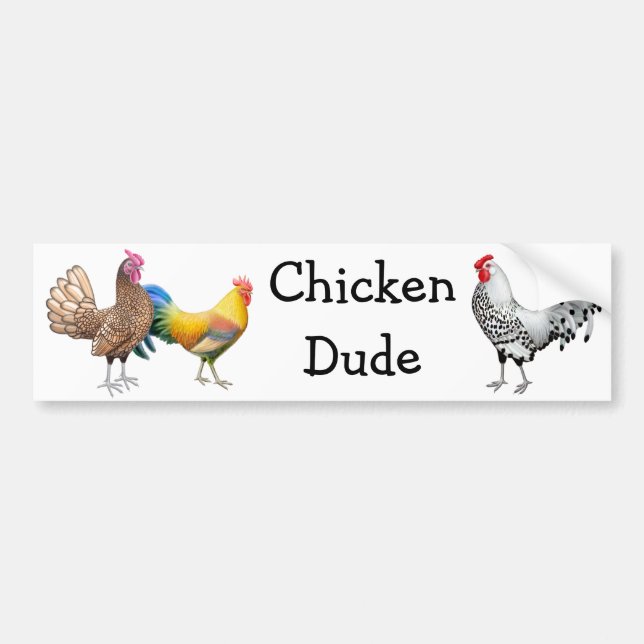 Chicken Dude Bumper Sticker (Front)