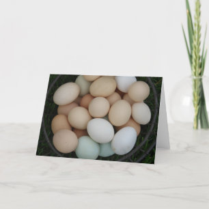 Chicken Eggs Card
