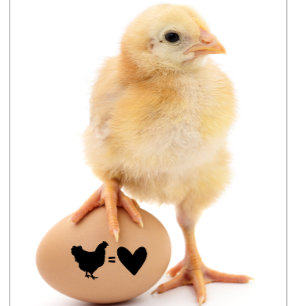 Chicken Equal Love Black Cute Illustration Art Rubber Stamp