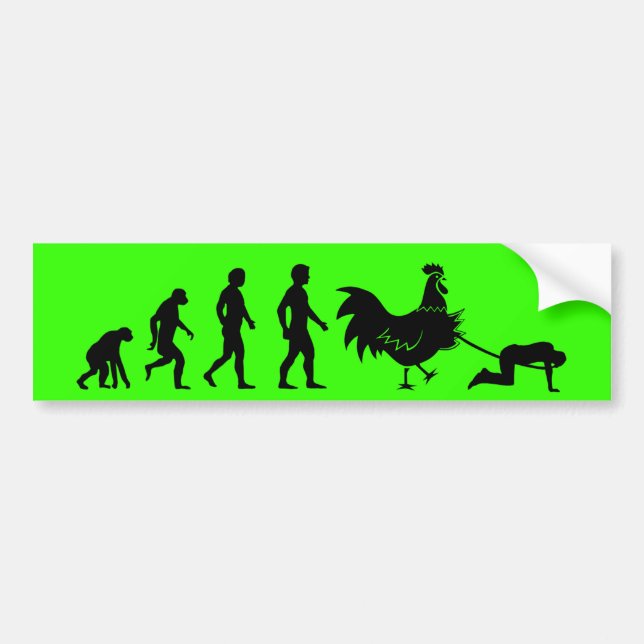 Chicken evolution bumper sticker (Front)