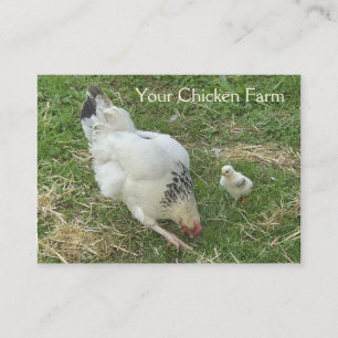 Chicken farm business card