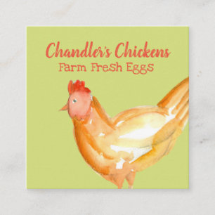 Chicken Farm Fresh Eggs For Sale Custom Square Business Card