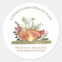 Chicken Farm Fresh Eggs free range