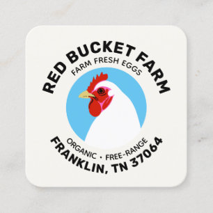 Chicken Farm Fresh Eggs Modern Square Business Card