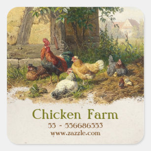 chicken farm sticker