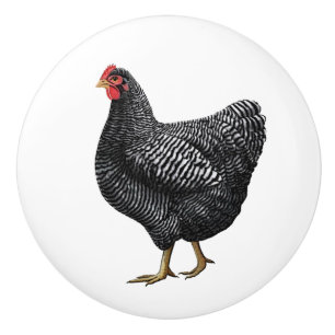 Chicken Farmhouse Drawer Pull