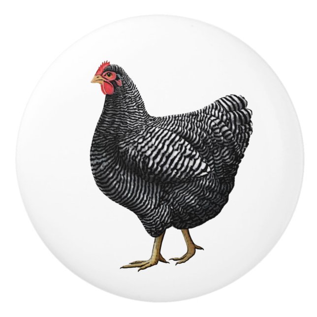 Chicken Farmhouse Drawer Pull  (Front)