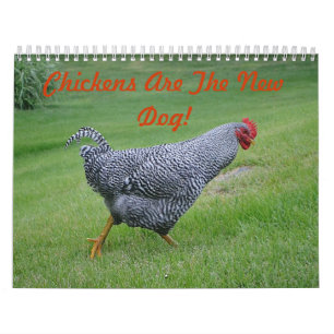 Chicken Farmyard Calendar