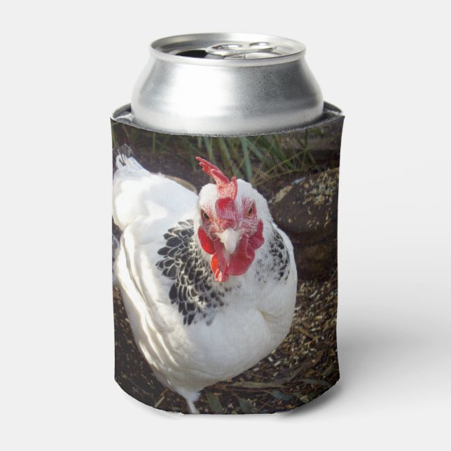 Chicken Freckles, Can Cooler (Can Front)