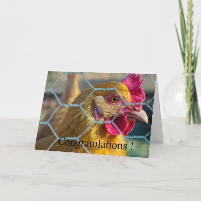Chicken graduation card (Front)