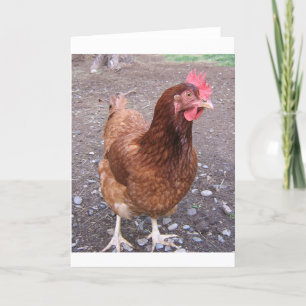 Chicken greeting card