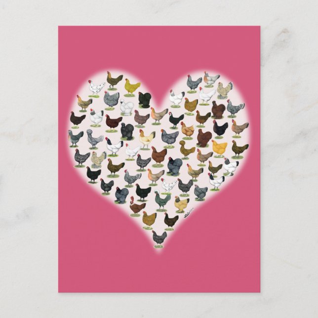 Chicken Heart Postcard (Front)