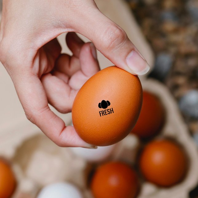 Chicken, Hen Eggs | Fresh Eggs | Egg Mini Stamp (Creator Uploaded)