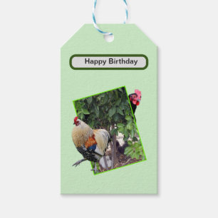 Chicken Hide And Seek, Gift Tags