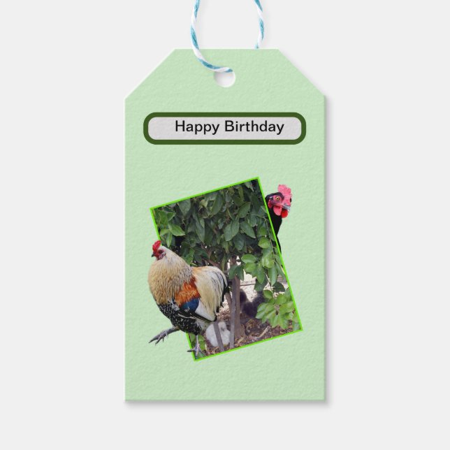 Chicken Hide And Seek,  Gift Tags (Front)