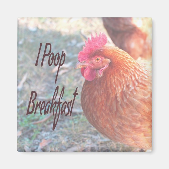 Chicken I poop Breakfast Funny Humour Magnet (Front)