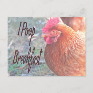 Chicken I poop Breakfast Funny Humour Postcard